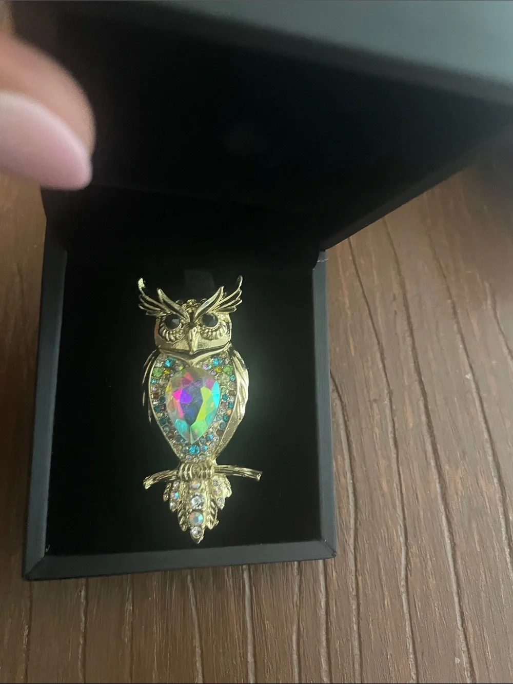 Miss Rabbit brooch Owl